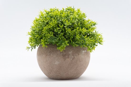 Mini pot de fleur