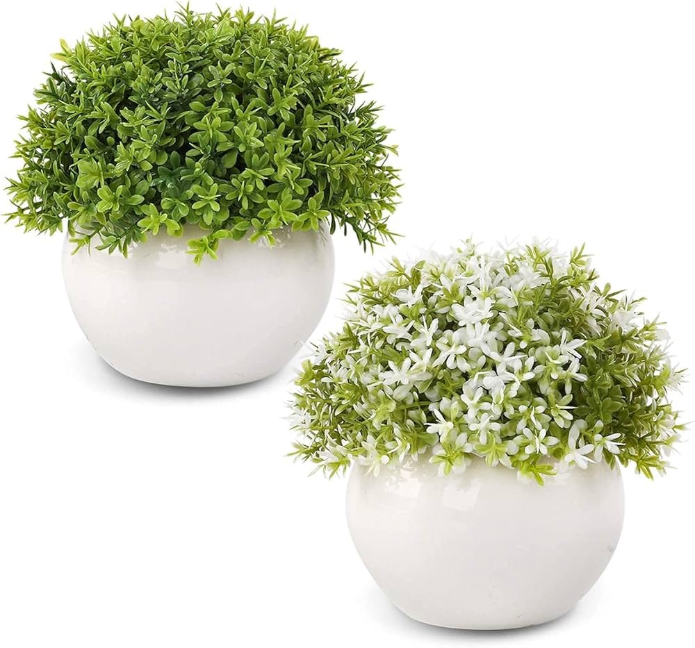 Mini pot de fleur