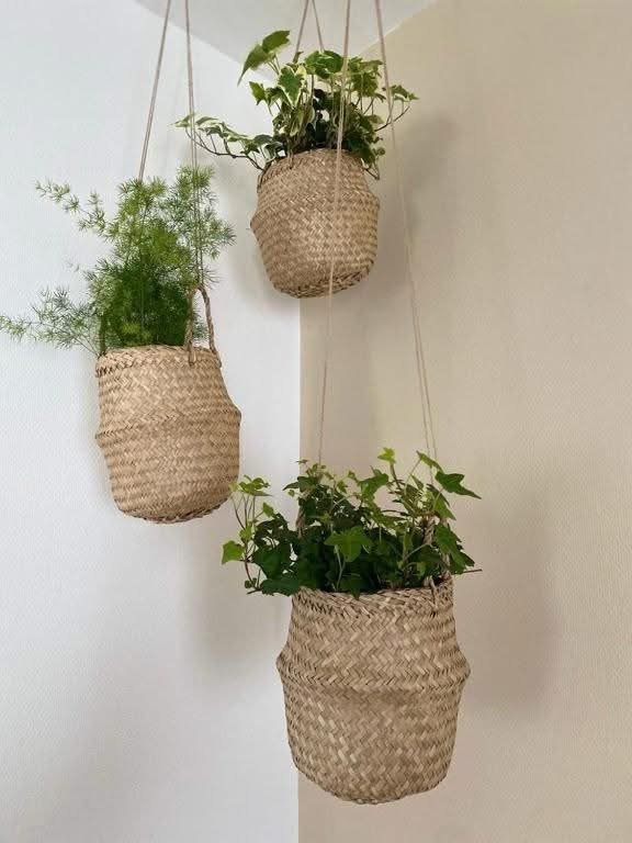 Pot de fleurs suspendu-4