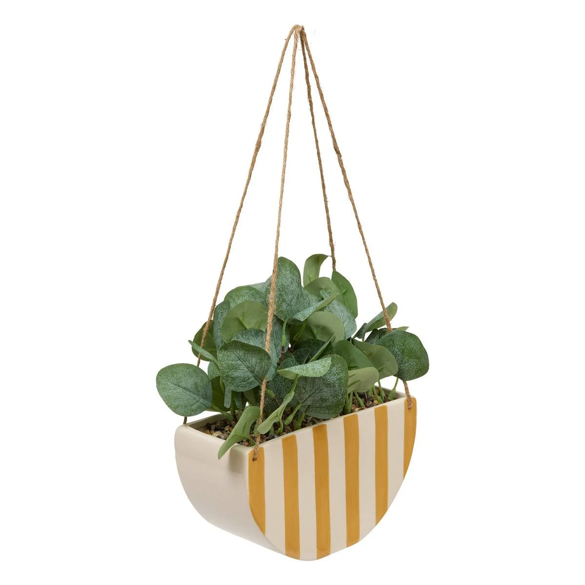 Plante suspendue
