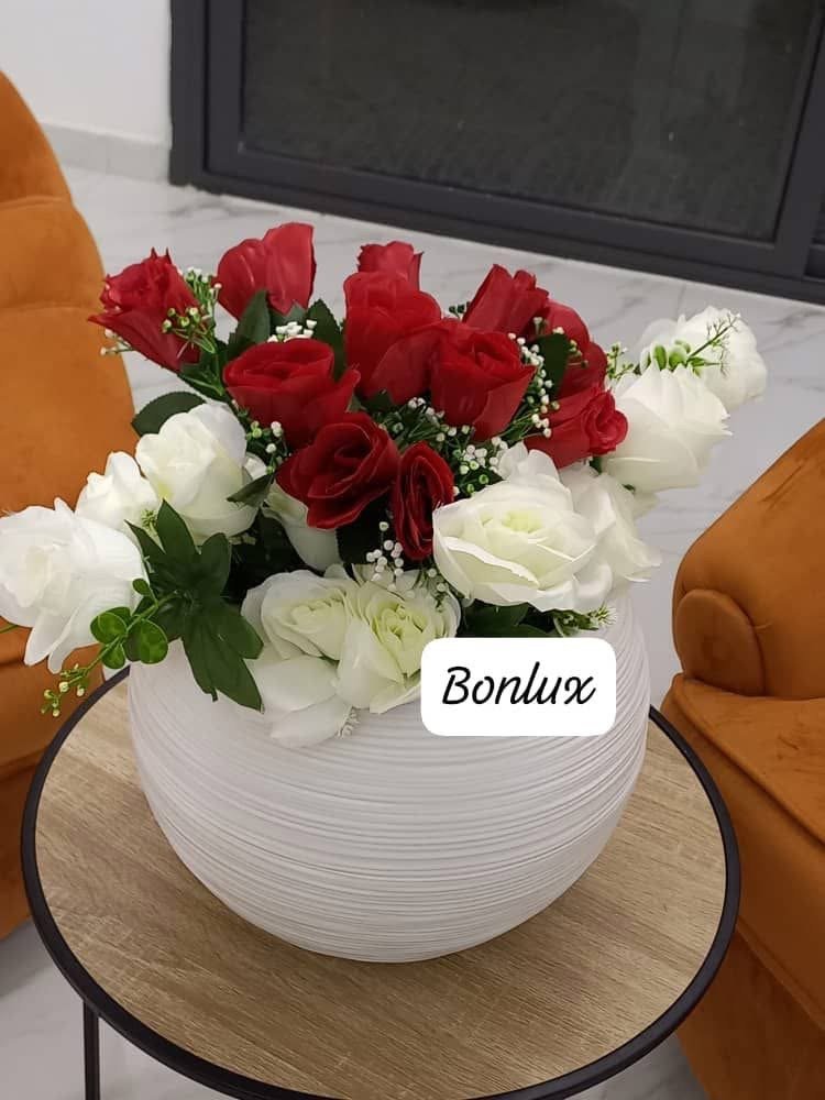 Création de Bon’lux-2