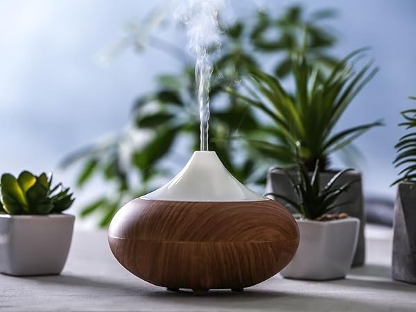 Diffuseurs d huile essentielle