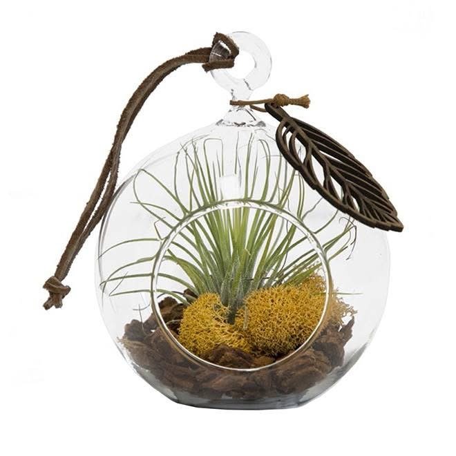 Terrarium artificiel