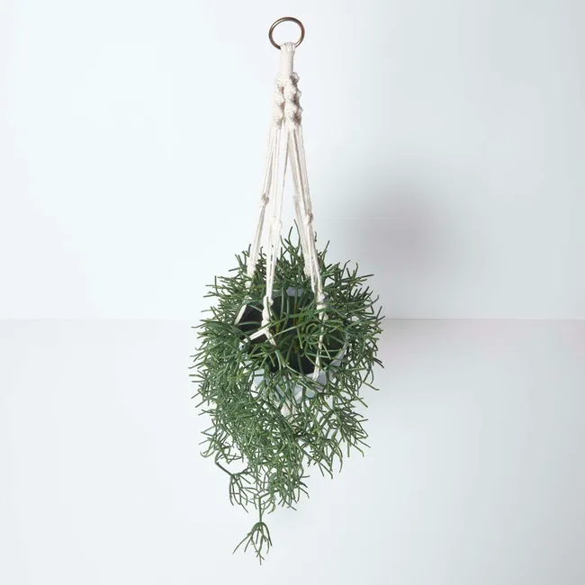 Pot de fleurs suspendu