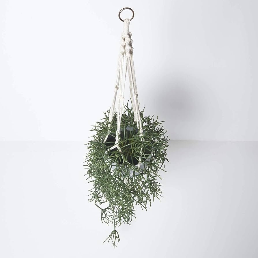 Pot de fleurs suspendu