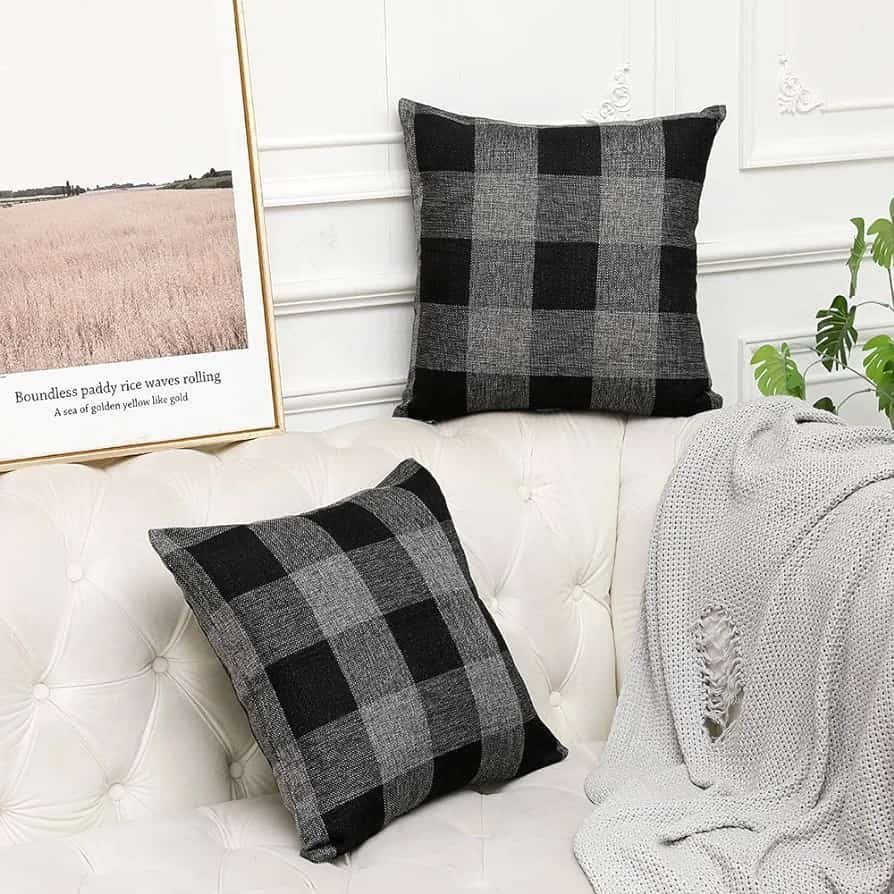 Coussin décoratif