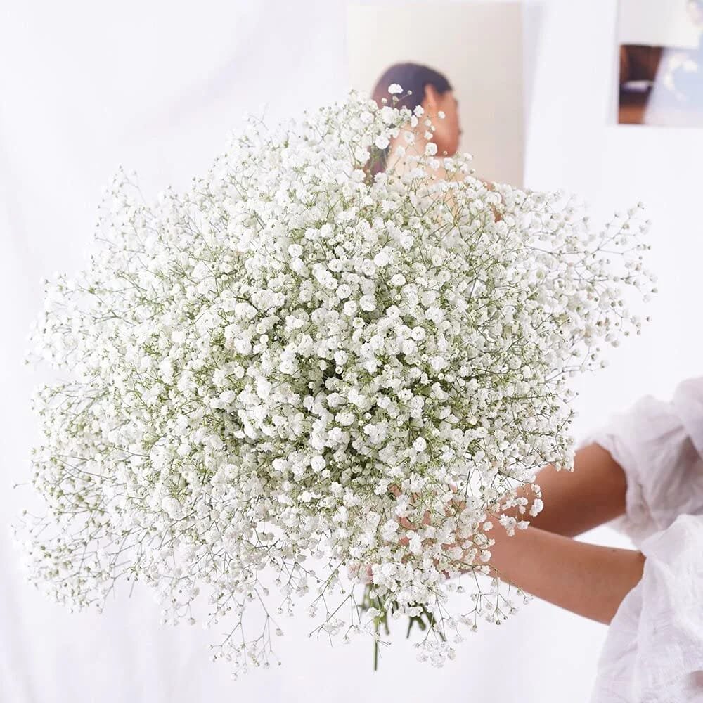 Fleur naturelle séchée