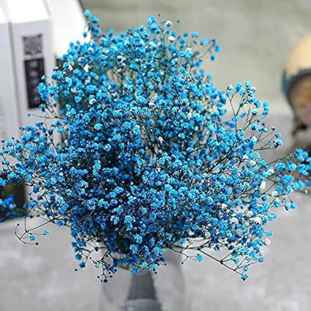 Fleur naturelle séchée