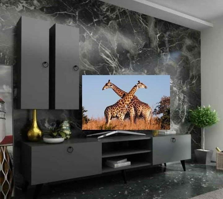 Table TV complet